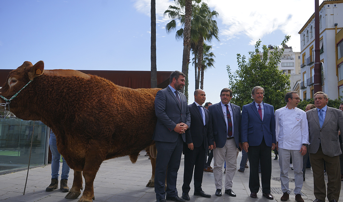 Foto de grupo con el Toro Limonero Jornada de la carne de la raza Limusín en Sevilla