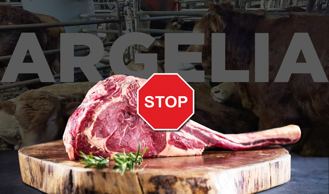 Carne de vacuno Argelia bloqueo a España STOP