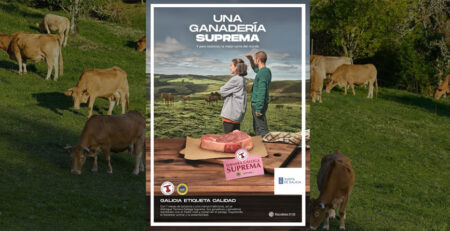 Vacas y anuncio de Ternera Gallega