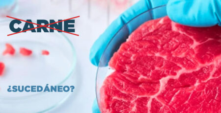 carne in vitro